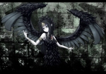 Konachan.com - 75399 aqua_eyes black_hair wings