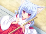 Konachan.com - 81579 animal_ears catgirl japanese_clothes kiryuu_hina neko_koi tail