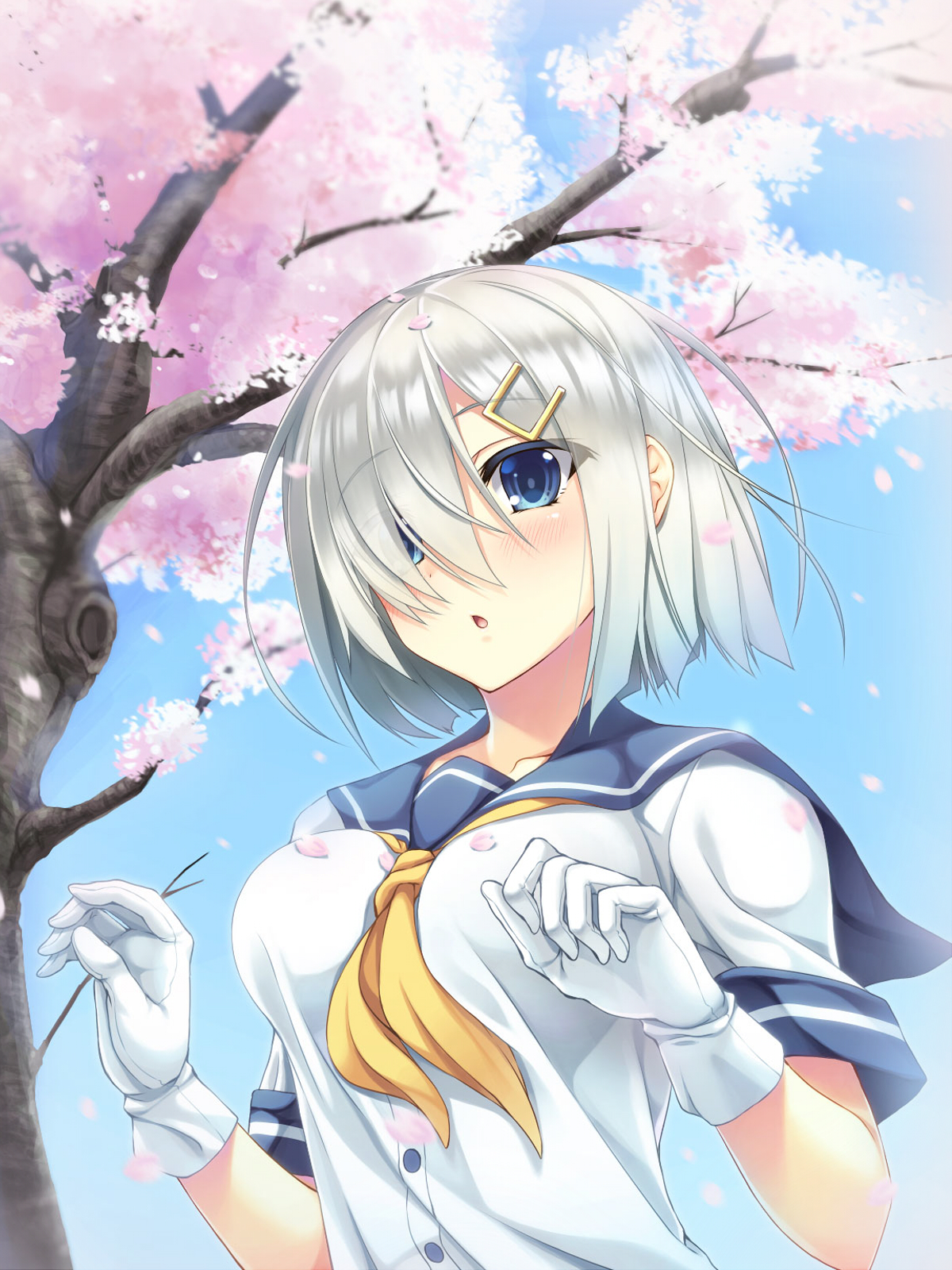 Picture Of The Day Hamakaze 5 Randomness Thing